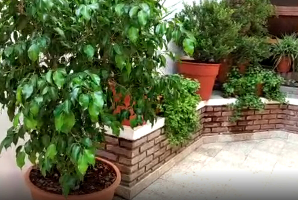 Diseño de Jardines en La Plata